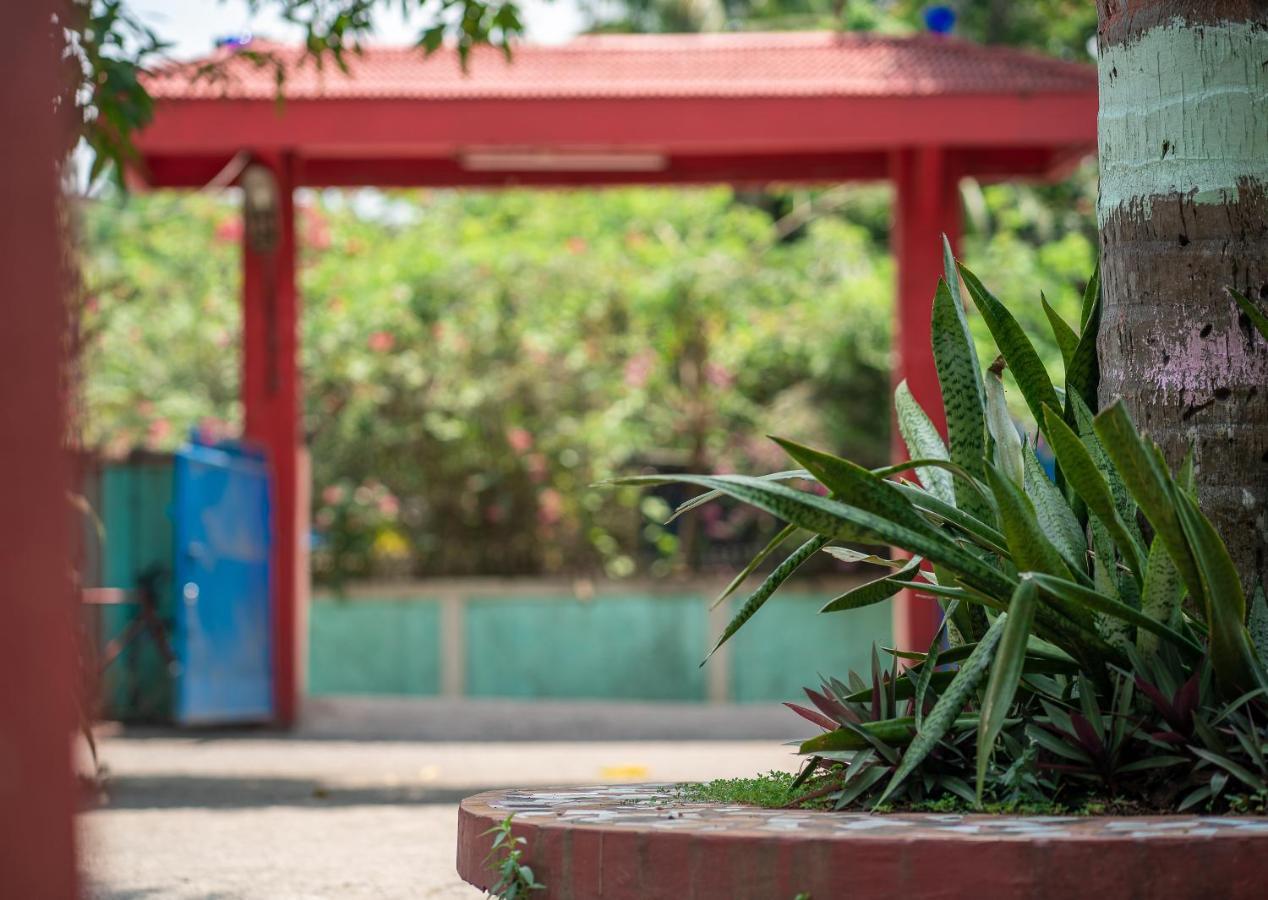Palm Grove Eco Resort Port Blair Esterno foto
