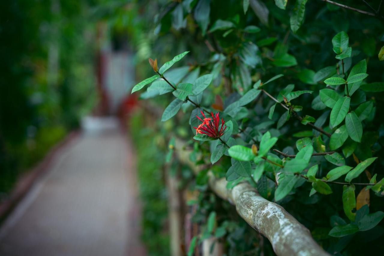 Palm Grove Eco Resort Port Blair Esterno foto
