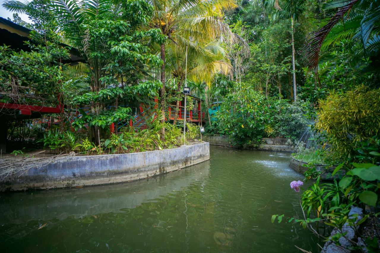 Palm Grove Eco Resort Port Blair Esterno foto