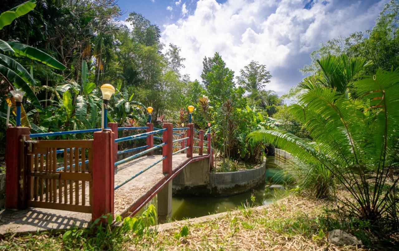Palm Grove Eco Resort Port Blair Esterno foto